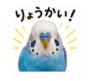 845553506