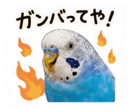 845553508