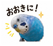 845553518