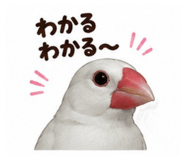 845553528