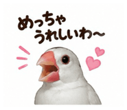845553535