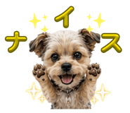 845553580