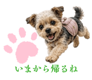 845553591