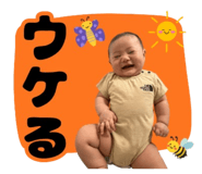 845553608