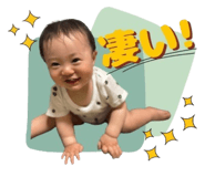845553614