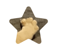 845553661