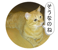 845553672