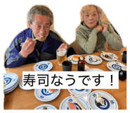 845553687