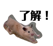 845553967