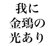 845554072