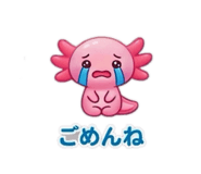 845554123