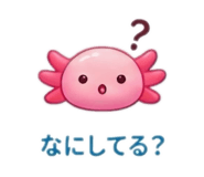 845554126