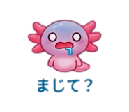 845554139