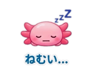 845554142