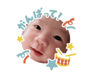845554159