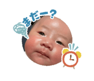 845554162