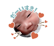 845554164