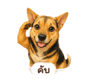 845554401