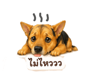 845554402