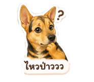 845554404