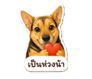 845554406