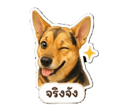845554408