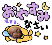 845554461