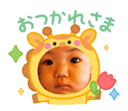 845554464