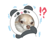 845554531