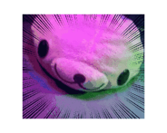845554532