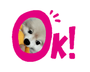 845554534