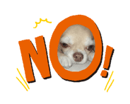 845554535