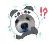 845554536