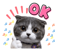 845554635