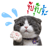 845554636
