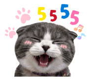 845554637