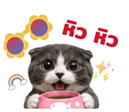 845554640