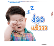 845554741