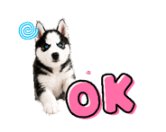 845554818