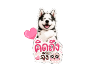 845554822
