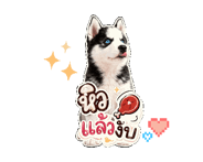845554831