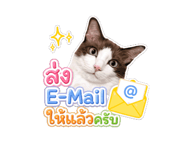 845555113