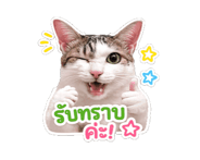 845555116