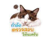 845555117