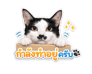 845555118