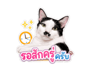 845555119
