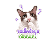 845555120
