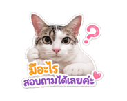 845555121