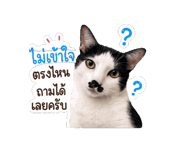845555122