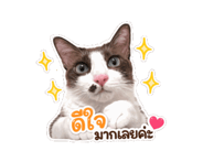 845555124